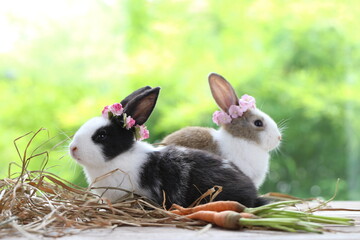 Cute little rabbit on green grass with natural bokeh as background during spring. Young adorable...