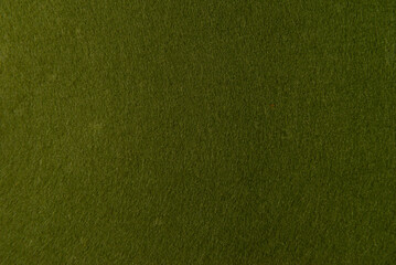 Fototapeta premium green leather texture