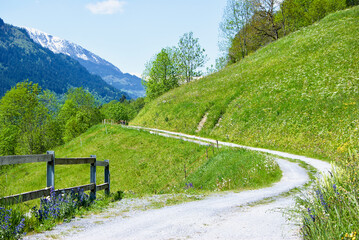 Dirt road with a view over snowy mountain in Switzerland in summer.