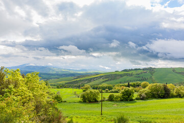 Fototapeta na wymiar Rural countryside view in Tuscany