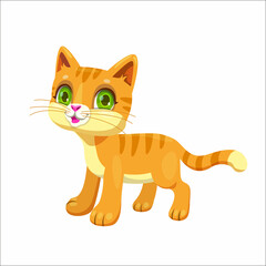 Fototapeta na wymiar Little cute ginger kitten. Funny young cat.