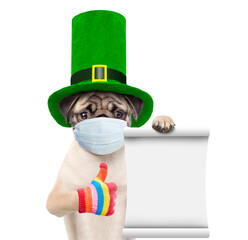 St Patrick's Day during lockdown concept. Funny puppy wearing protective face mask and green...