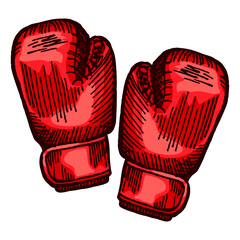 Red boxing gloves sketch in isolated white background. Vintage sporting equipment for kickboxing in engraved style.