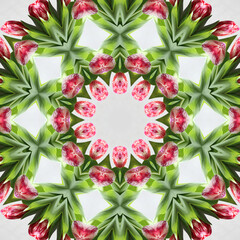 Obraz premium Colourful kaleidoscope art design abstract background with effect polygon circle ornament. Fractal mandala