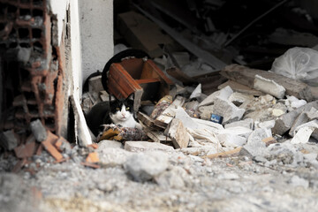 Houses and fields in ruins, demolished, abandoned and junkyard