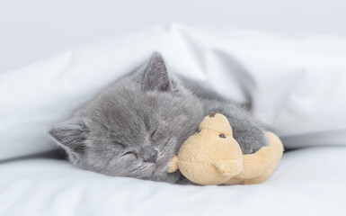 Cozy tiny kitten sleeps with favorite toy bear under warm white blanket on a bed at home © Ermolaev Alexandr