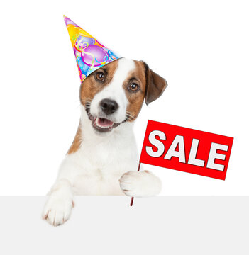 Happy jack russell terrier puppy wearing party cap looks above empty white banner and sales symbol. isolated on white background
