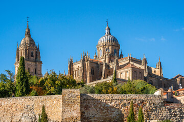 Salamanca, Spain - november 6 2022 - tthe Catedral de Salamanca seen from the park - obrazy, fototapety, plakaty