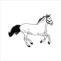 black and white linear paint draw horse vector illustration, Running black line horse on white background. Vector graphic.