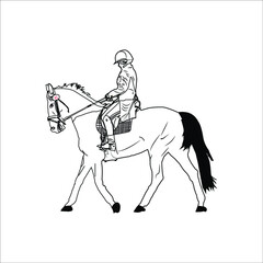 black and white linear paint draw horse vector illustration, Running black line horse on white background. Vector graphic.
