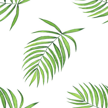 Watercolor palm leaf seamless pattern on white background. Hand drawing kentia or parlor plant illustration. Perfect for home design, print, card.