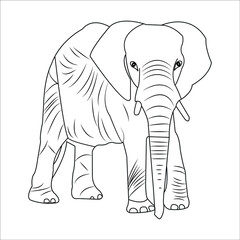 Vector outline elephant. Line silhouette elephant. Elephant Outline, Hand drawn illustration