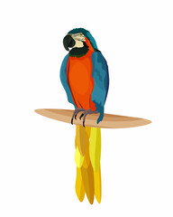 Blue and yellow ara macaw sitting on a branch. Bird. Parrot. Vector illustration © IrinaBrusentseva
