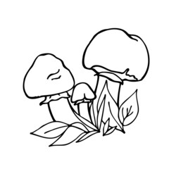 Beautiful champignons drawn in freehand style. Champignons in the forest. Idea for packaging, appliqué, children's creativity