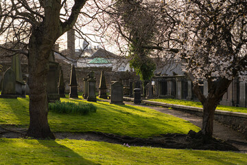 cemetery spring