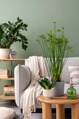 Stylish composition of cozy living room interior with design poster frames, plants, pillow, beige sofa, cube, plaid and personal accessories in  home decor. Template. Plants on chest of drawers. .