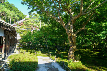 初夏の圓光寺の境内