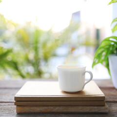 Tea cup and brown kraft notebooks and Window Monstera obliqua leaf plant