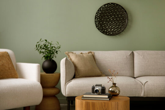 Stylish composition of living room interior with green wall, grey sofa with grey pillow. White armchair with patterned pilow, wooden coffe table with black accessories. Black vase with green flower. 