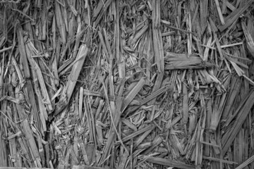 Background with detail of straw, black and white