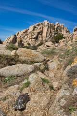 Rocks of Valle della Luna, Capo testa, Sardinia, blue sky