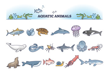 Aquatic animals collection with sea and ocean wildlife outline items set. Nature underwater fauna with dolphins, whales, fishes, octopus, jellyfish and seals vector illustration. Zoology marine life.