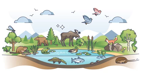 Foto op Plexiglas Ecosystem as nature habitat for living organisms and animals outline concept. Ecological environment with various species and sustainable biosphere vector illustration. Wildlife vegetation scene. © VectorMine
