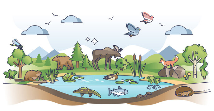 Ecosystem as nature habitat for living organisms and animals outline concept. Ecological environment with various species and sustainable biosphere vector illustration. Wildlife vegetation scene.