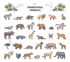 Terrestrial animals group as living species on land outline collection set. Wildlife mammals, reptiles and birds isolated list for geographical area and region vector illustration. Zoo biodiversity.