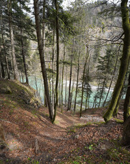 Fototapeta premium Auf dem Schmugglerweg an der Tiroler Ache von Kössen nach Klobenstein