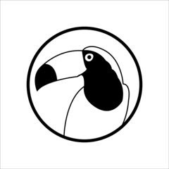 vector abstract cartoon summer time graphic decoration illustrations art with exotic tropical flying rainforest toucan bird isolated 