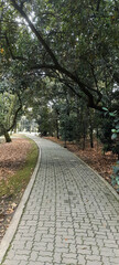 path in the park
