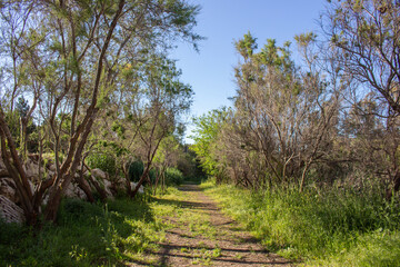 Vega Baja del Segura - Guardamar del Segura - Molino Harinero de San Antonio, Azud y Puente de Hierro, junto al río Segura.