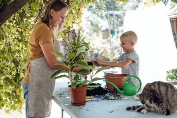 Family mom son and cat Planting Flowers Together. Spring Houseplant Care, repotting houseplants. Happy family mom and son little kid boy planting Houseplants In Pots in backyard, garden