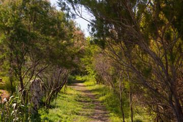 Vega Baja del Segura - Guardamar del Segura - Molino Harinero de San Antonio, Azud y Puente de Hierro, junto al río Segura.