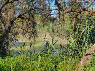 Vega Baja del Segura - Guardamar del Segura - Molino Harinero de San Antonio, Azud y Puente de...