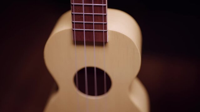 ukulele 1