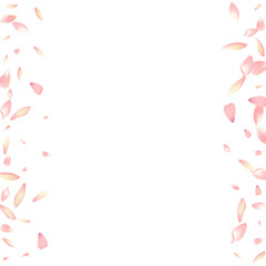 Obraz premium Transparent Cherry Petal Vector White Background.