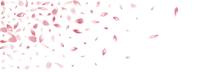 Pastel Apple Petal Vector Panoramic Background.