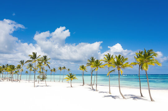 Juanillo beach with palm trees, white sand and turquoise caribbean sea. Cap Cana is a tourist area in Dominican Republic. Aerial view