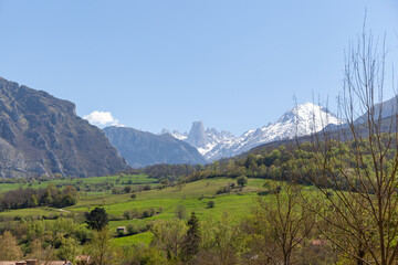 View of the "Naranjo de Bulnes" peak from Poo de cabrales,  Spain