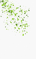 Forest Greens Nature Vector Transparent