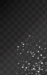 White Snow Vector Transparent Background. Light
