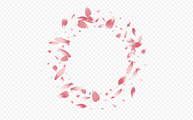 Pink Rose Vector Transparent Background. Confetti