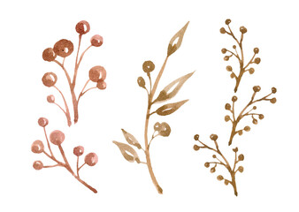 Watercolor hand drawn bunch of meadow flowers.