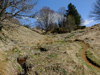mont Gerbier-de-Jonc
