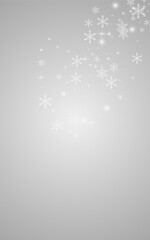 Gray Snowflake Vector Gray Background. Winter