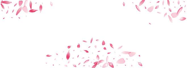 Purple Rose Petal Vector White Background. Pastel