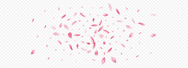 Pink Blossom Vector Panoramic Transparent