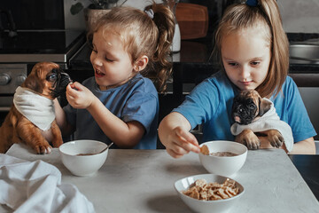 Two sisters at home in the kitchen at the table feed their little German boxer puppies with their...